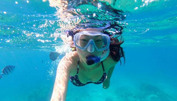 海でシュノーケリングをする女性 海でシュノーケリングをする女性の写真
