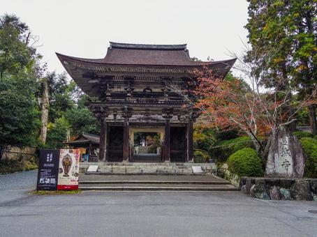 【滋賀県】大津市・三井寺 三井寺,仁王門,大門の写真素材