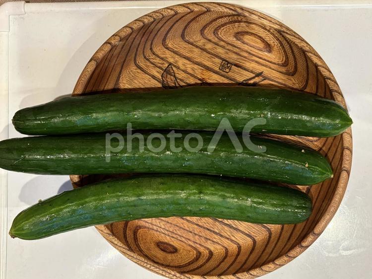 お盆に載せた採れたてきゅうり きゅうり,野菜,食物の写真素材