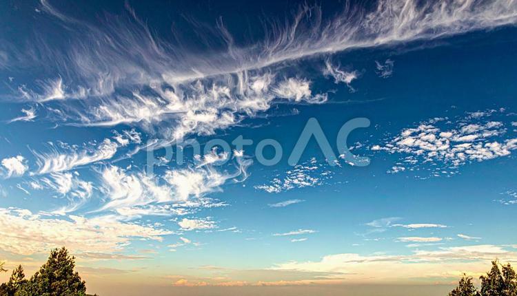 空と光と木 スカイ,フラッシュ,大自然背景の写真素材