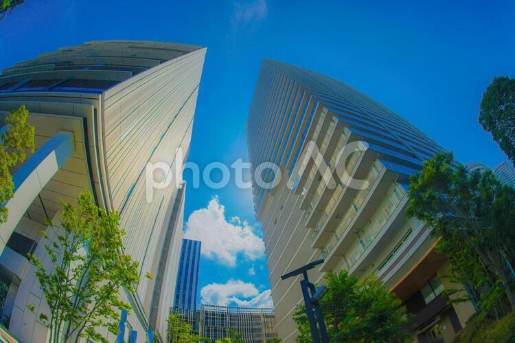 横浜みなとみらいの街並みと青空 みなとみらい,オフィス街,ビル群の写真素材