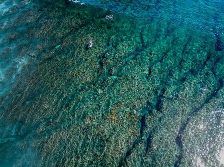 フィジーの海 フィジーの海の写真