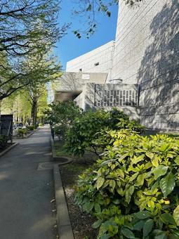 上野恩賜公園 台東区 早朝の公園 上野恩賜公園 台東区 早朝の公園 上野恩賜公園,上野公園,台東区の写真素材