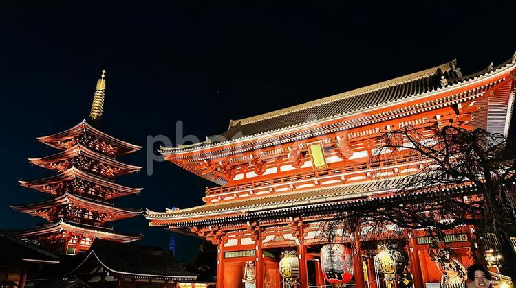 夜の浅草寺、五重塔のライトアップ２ 浅草寺,五重塔,浅草の写真素材
