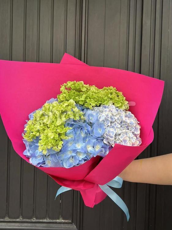 紫陽花の花束をプレゼントする手元の写真 紫陽花,花束,ブーケの写真素材