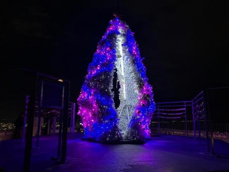 藻岩山 藻岩山,ロープウェイ山頂駅,夜景の写真素材