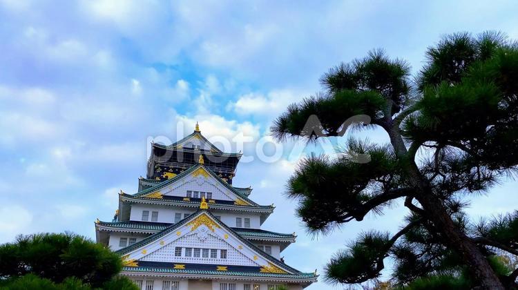 秋の大阪城公園　紅葉の時期 夕暮れ時の大阪城天守閣 秋,雲,空の写真素材