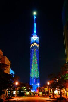 冬の福岡タワー_夜景10 風景,日本,九州の写真素材