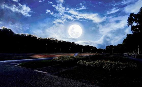 澄んだ夜空と満月 澄んだ夜空と満月 満月,夜空,月の写真素材