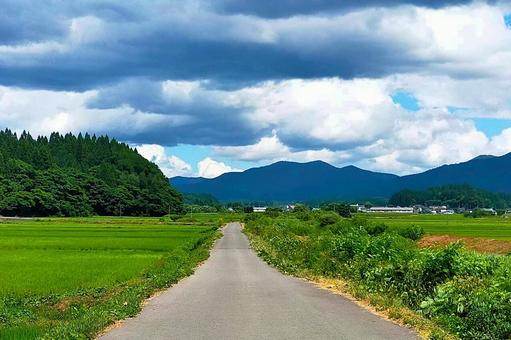 2025年8月の里山1 2025年8月の里山1 農道,一本道,田んぼの写真素材