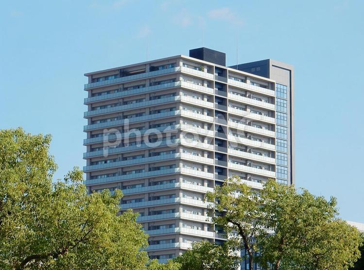 【風景写真】聳え立つマンション 風景,風景写真,空の写真素材