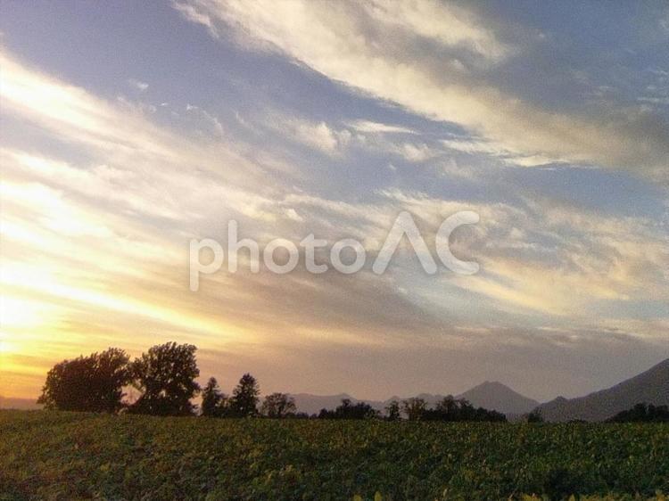 夕暮れ 夕暮れ,夕焼け,黄昏の写真素材