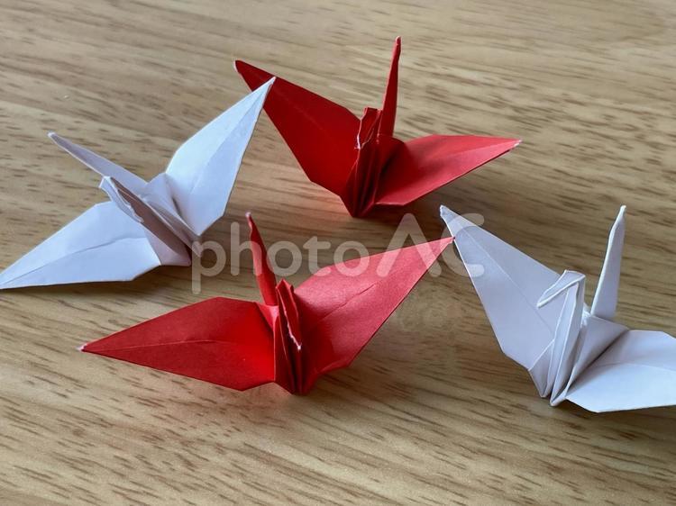 ４羽の紅白の折り鶴 折り鶴,折り紙,鶴の写真素材