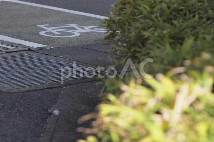 道路表示　自転車 道ばた,道路表示,自転車の写真素材