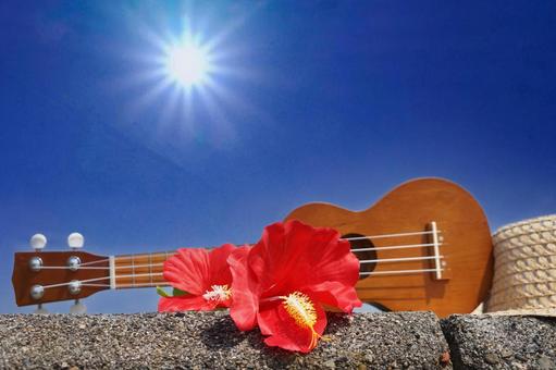 海辺のウクレレ②の写真