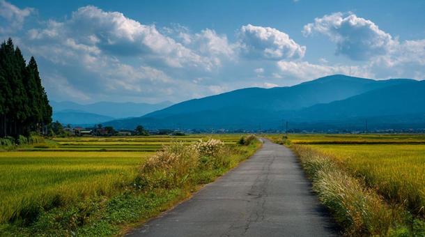 夏の田舎の風景 夏の田舎の風景の写真