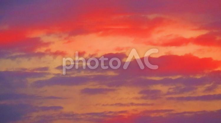 ６月下旬の池の朝焼け 背景,朝焼け,黄昏の写真素材