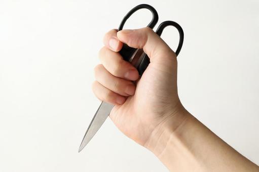 手姿勢 (21) 手姿勢 (21)
