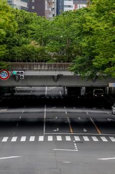 緑をくぐる道路の写真