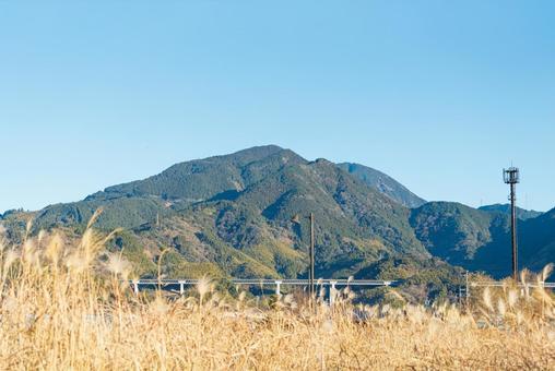 あさはた緑地、山間に広がる雄大な風景 草むら,葉,植物の写真素材