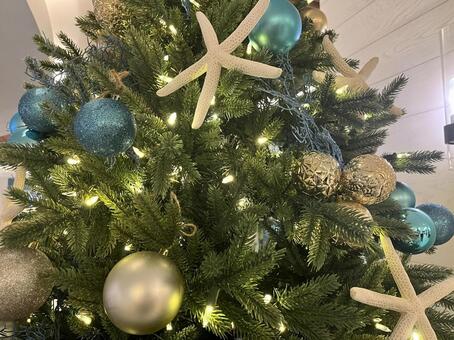 ハワイで見つけた！海のイメージのツリー クリスマス,クリスマスツリー,xmasの写真素材