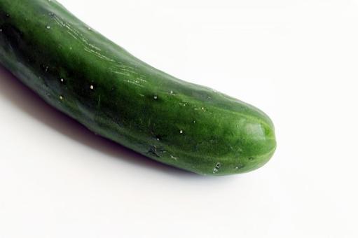 新鮮なきゅうりのアップ 新鮮なきゅうりのアップ きゅうり,野菜,緑色の写真素材
