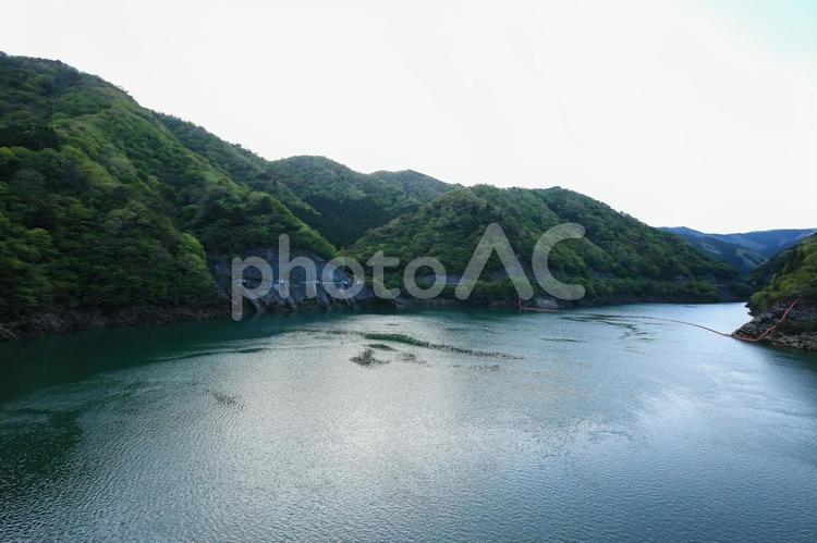 兵庫県神河町　長谷ダム　下部調整池 長谷ダム,はせダム,ダムの写真素材
