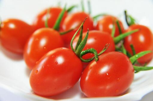 美味しそうなミニトマト（アイコ） ミニトマト,植物,野菜の写真素材