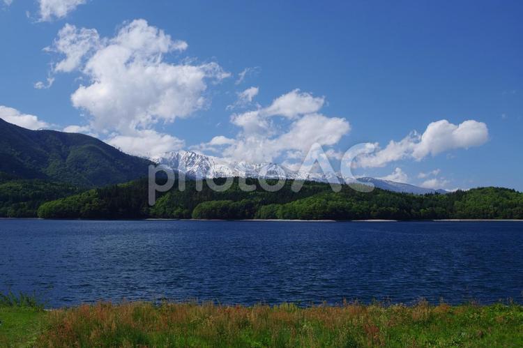 初夏の青木湖 青木湖,湖,初夏の写真素材