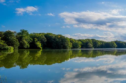 静寂な水面が作り出した青空と緑の映り込み 静寂な水面が作り出した青空と緑の映り込み 大沼公園,湖面,水鏡の写真素材