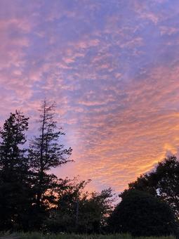 幻想的な秋の夕焼け空 夕焼け,夕暮れ,空の写真素材