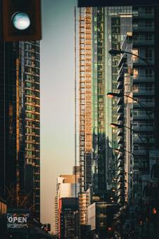トロントの高層ビル街(カナダ) トロントの高層ビル街(カナダ) 高層ビル,都市,トロントの写真素材