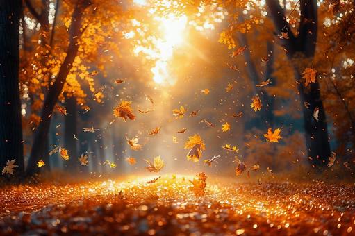 紅葉が降り注ぐ秋の風景 紅葉が降り注ぐ秋の風景の写真