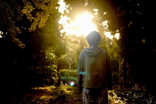 ＜素材＞夕暮れの森の中を散策する女性 女性,サンセット,夕方の写真素材