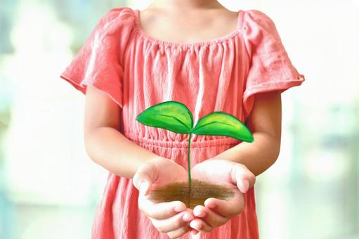 土と葉っぱを持つ子供の手のひら 土と葉っぱを持つ子供の手のひら エコ,手,葉っぱの写真素材