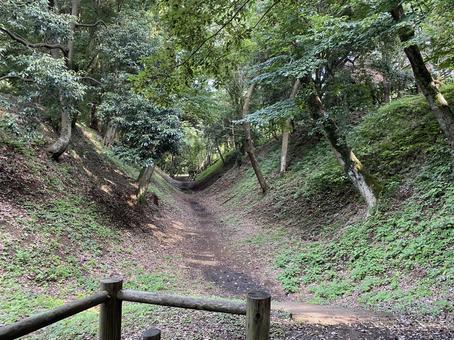 小田原城小峯御鐘ノ台大堀切 小田原城小峯御鐘ノ台大堀切 小田原城,小峯御鐘ノ台大堀切,城跡の写真素材