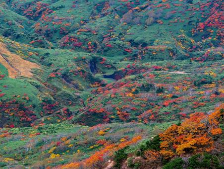 紅葉の秋田駒ケ岳 紅葉の秋田駒ケ岳の写真