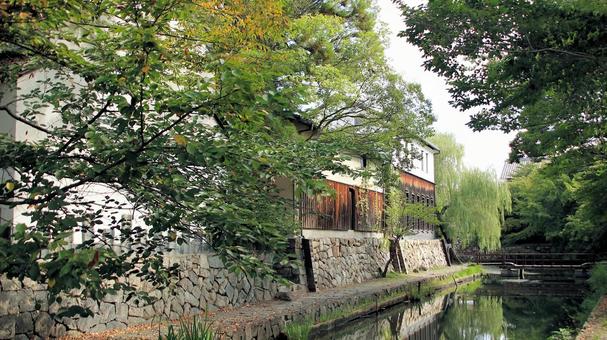 初秋の八幡堀　白壁の土蔵と船橋 八幡堀,初秋,白壁の写真素材
