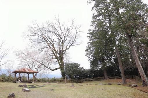 人吉城跡 人吉城跡 風景,景色,景観の写真素材