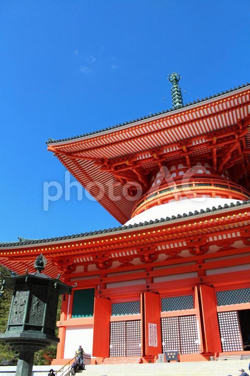 高野山　壇上伽藍 高野山,壇上伽藍,寺の写真素材