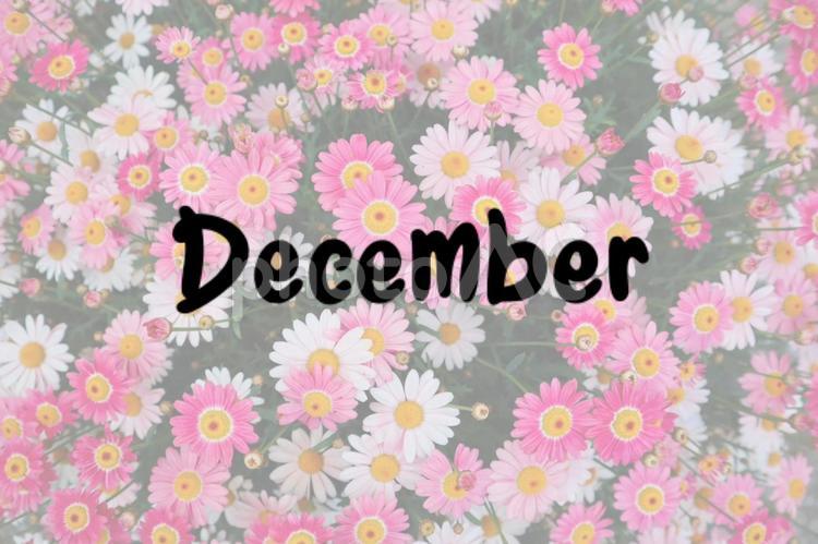 December  12月,december,カレンダーの写真素材