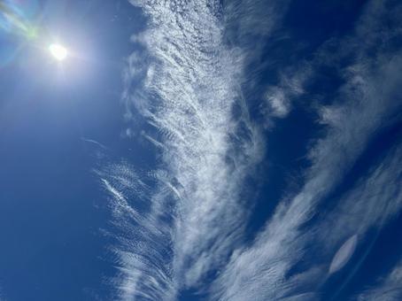 葉っぱの様な雲 葉っぱの様な雲の写真