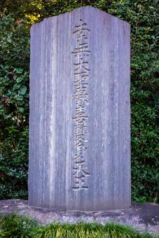 南無大師遍照金剛の石碑 石碑,石柱,銘石の写真素材