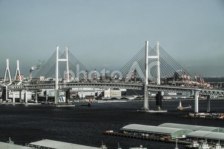 マリンタワーから見える横浜の街並み（モノクローム） 横浜,街並み,モノクロームの写真素材