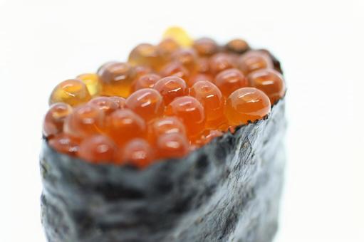 軍艦巻き02の写真