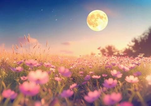 コスモスの花と満月の写真