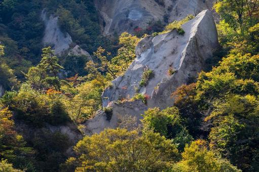 白岩の秋⑸ 白岩の秋⑸ 秋,黄葉,紅葉の写真素材