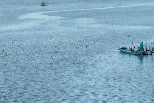 水鳥たちの集う早朝の新川 水鳥たちの集う早朝の新川の写真
