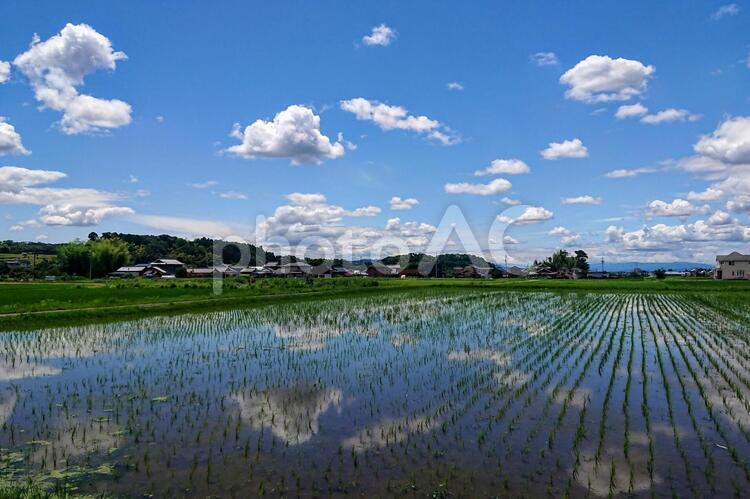 田舎の風景 自然,風景,水域の写真素材