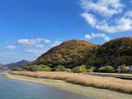 秋の千種川3 千種川,景色,風景の写真素材